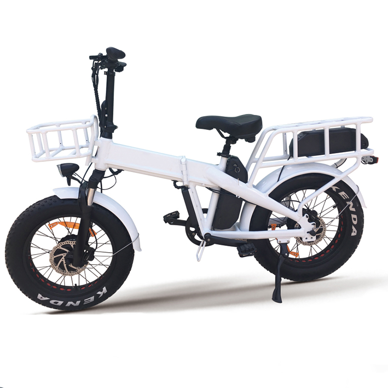 big tyre electric bike